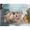 Image 2 : BOX AND TOTE OF SEMI PRECIOUS ROCKS AND FOSSILS