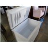 Image 3 : LARGE WHITE DEEP FREEZE