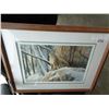 Image 1 : LEP FIRST SNOWFALL W/ COA