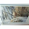 Image 2 : LEP FIRST SNOWFALL W/ COA