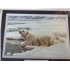 Image 2 : ROBERT BATEMAN ARTIC FAMILY