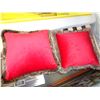 Image 2 : 2 DECORATIVE PILLOWS