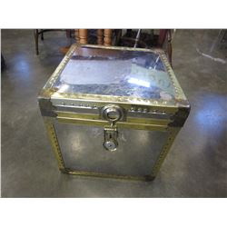 SHINY METAL TRUNK AND ITALIAN TIES