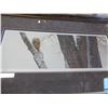 Image 2 : ON THE ELM BY TERRY ISAAC LIMITED EDITION PRINT 24538