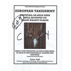 Deer Euro Mount Certificate