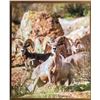 Image 1 : AZ Desert Sheep Print