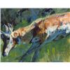 Image 1 : Lesa Delisi - Pronghorn Action