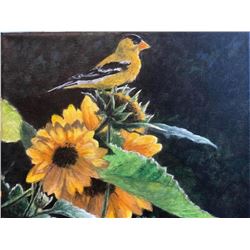 Otto Lawson - Days of Gold-American Golden Finch