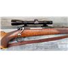 Image 13 : WINCHESTER MODEL 70