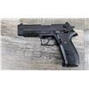Image 1 : SIG SAUER MODEL MOSQUITO