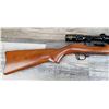 Image 8 : RUGER MODEL CARBINE