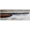 Image 8 : SAVAGE MODEL 170