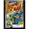 Image 1 : FLYMAN #34 COMIC BOOK (1965)