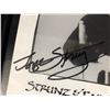 Image 2 : STRUNZ & FARAH GUITAR DUO SIGNED 8" X 10" FRAMED PHOTO