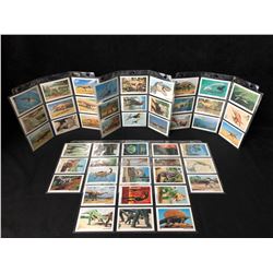 DINOCARDZ TRADING CARDS LOT