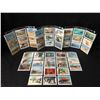 Image 1 : DINOCARDZ TRADING CARDS LOT