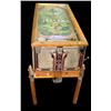 Image 1 : Jennings Sportsman, payout Pinball Machine