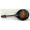 Image 1 : Mandolin