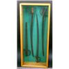 Image 1 : Oak Display Case W/ Metal Swords 19"x6"x43"