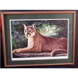 Lion Picture Signed By Artist for Tippi Hedren