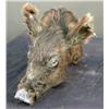 Image 1 : Small  Wild Pig Mount