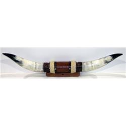 Long Horn Steer Horns     31" Spread