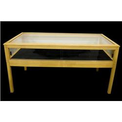 Large Floor Model Display Case #2   Oak