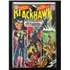 Image 1 : BLACKHAWK #231 (DC COMICS)