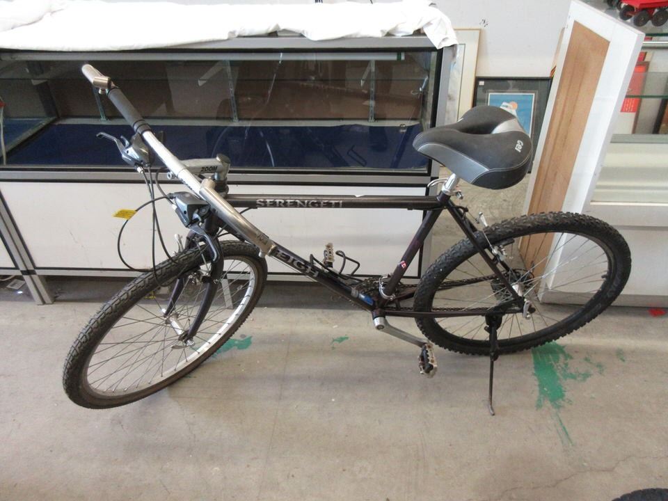 raleigh serengeti mountain bike