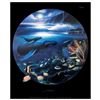 Image 1 : Islands by Wyland