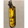 Image 1 : Beautiful Amber Pendant Filled with Insects and Plants 5.3 Total Grams Sterling Silver Clasp
