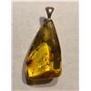 Image 1 : Large Beautiful Amber Pendant Filled with Insects and Plants 6.8 Total Grams Sterling Silver Clasp