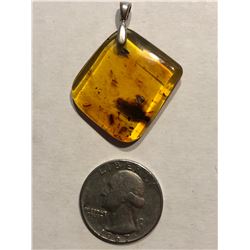 Huge Insect in this one Beautiful Amber Pendant Filled with Insects and Plants Total 4 Grams Sterlin