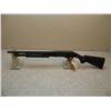 Image 3 : NEF Pardner, 12 ga SN#-NW522151