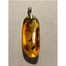 Beautiful Amber Pendant Filled with Insects and Plants Total 4.6 Grams Sterling Silver Clasp