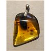 Image 1 : Beautiful Amber Pendant Filled with Insects and Plants Total 4.1 Grams Sterling Silver Clasp