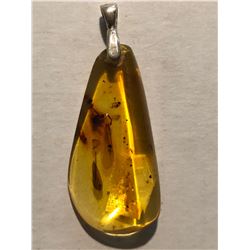 Beautiful Amber Pendant Filled with Insects and Plants Total 2.9 Grams Sterling Silver Clasp