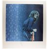 Image 1 : Led Zeppelin: Jimmy Page