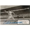 Image 1 : Ted Williams