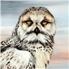 Image 2 : "Snow Owl in Alaska" Limited Edition Giclee on Canvas by Martin Katon, Numbered and Hand Signed with