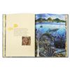Image 3 : "Ocean Friends" Children's Book by Robert Lyn Nelson.