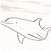Image 2 : Wyland - "Dolphin" Framed Original Sketch, Hand Signed with Certificate of Authenticity.