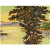 Image 3 : Canadian Oil on Canvas Board Signed RN Long Lake