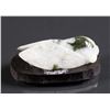Image 2 : Chinese Spinach Green Jadeite Carved Cicada Toggle