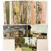 Image 1 : AYPE Expo Postcards  (103338)