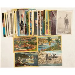 Catalina Island, CA Postcards  (103299)