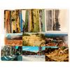 Image 1 : Mt. Lassen, CA Postcards  (102348)