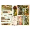 Image 1 : Mt. Lowe, CA Area Postcards  (102349)