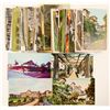 Image 1 : Historic Pasadena, CA Postcards  (102352)