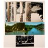 Image 1 : Russian River, CA Postcards with RPC's (15)  (101791)